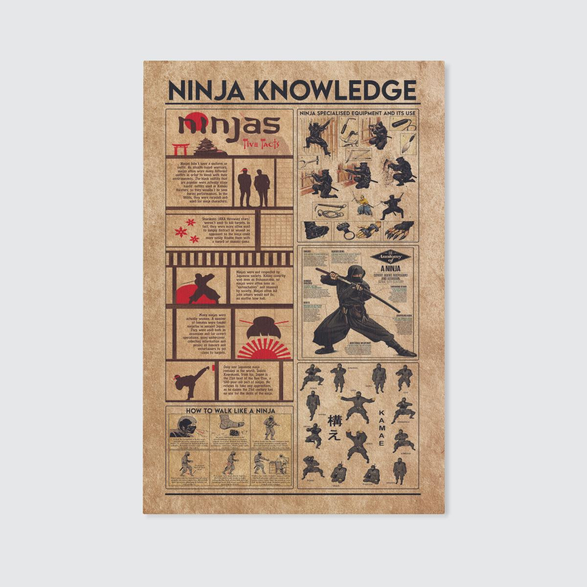 Ninja Knowledge Canvas Poster Wall Art Decor