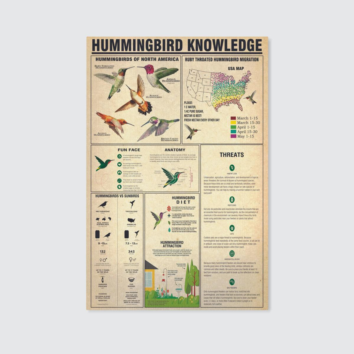 Hummingbird Knowledge Canvas Poster Wall Art Decor